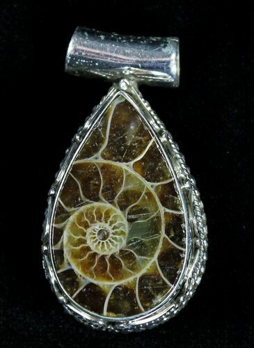 Ammonite Fossil Pendant - Sterling Silver #21052